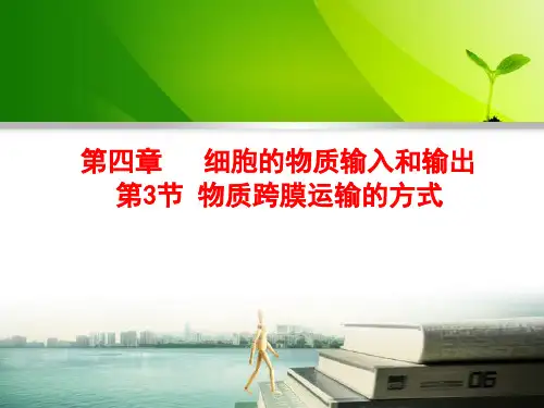 新版人教版高中生物物质跨膜运输的方式 (共21张PPT)学习演示PPT课件