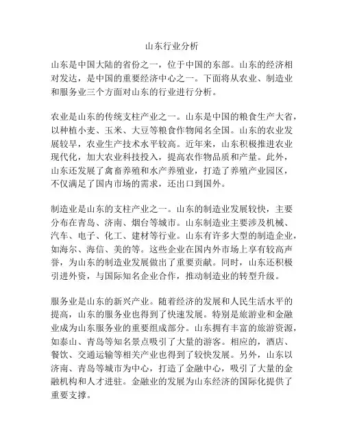 山东行业分析