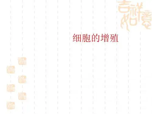 高中生物课件 细胞的增殖