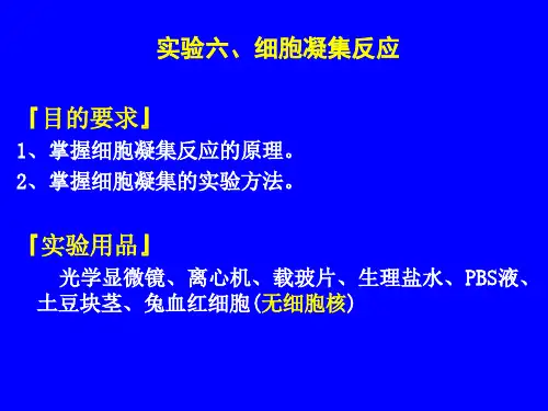 实验六细胞凝集反应『目要求』1掌握细胞凝集反应