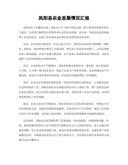 凤阳县农业发展情况汇报