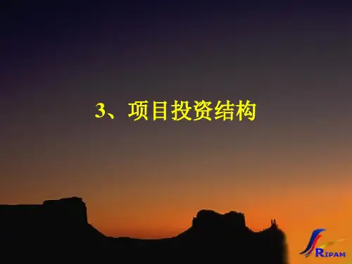 3 项目融资的投资结构