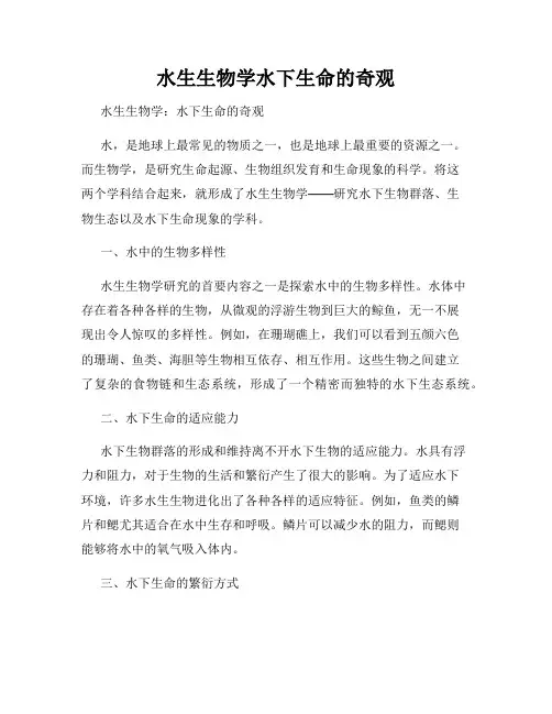 水生生物学水下生命的奇观