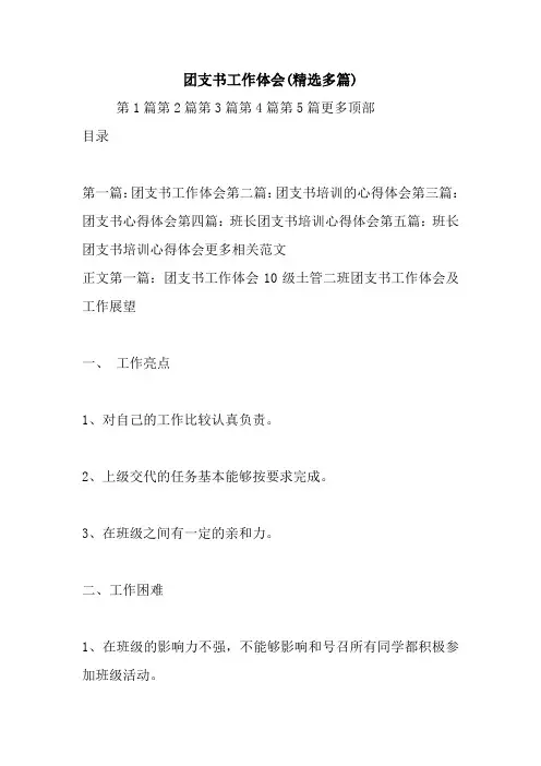 最新团支书工作体会(精选多篇)