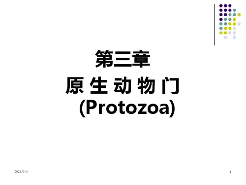 刘凌云普通动物学 第3章原生动物门