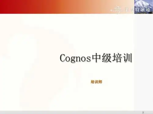 Cognos中级培训教程