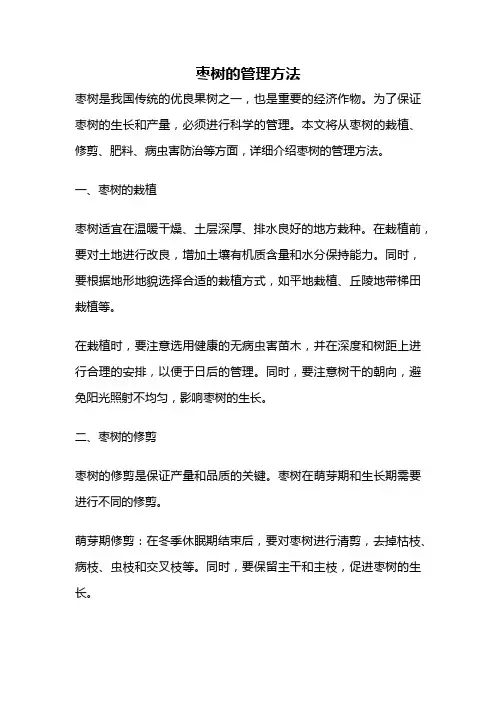 枣树的管理方法