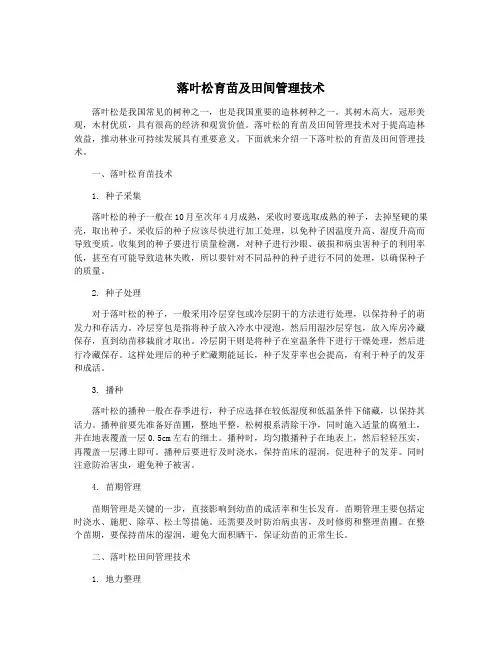 落叶松育苗及田间管理技术