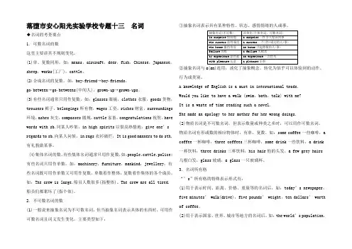 高考英语 语法专题十三 名词 