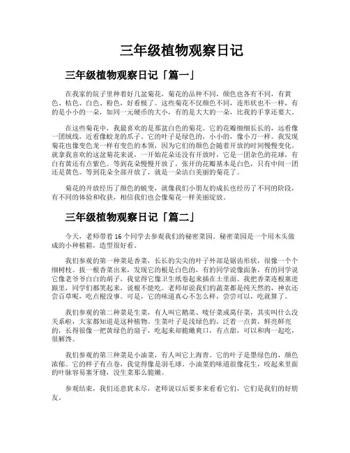 三年级植物观察日记