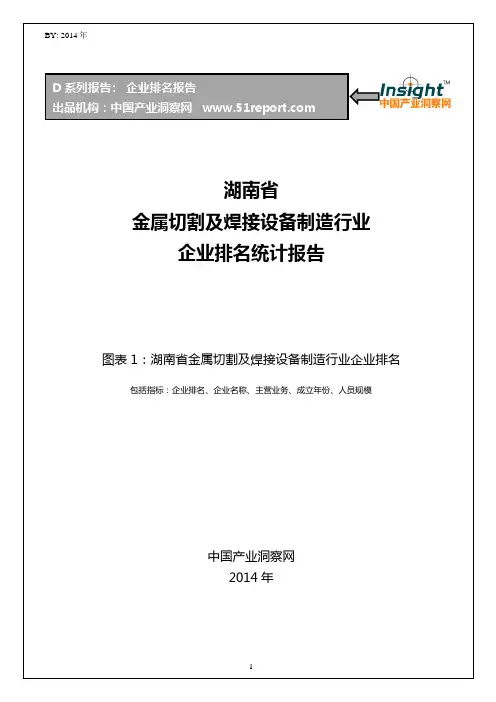 湖南省金属切割及焊接设备制造行业企业排名统计报告