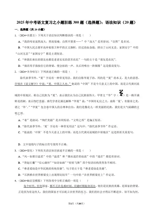 2025年中考语文复习之小题狂练300题(选择题)：语法知识(20题)