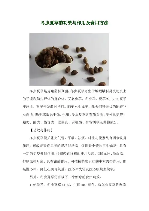 冬虫夏草的功效与作用及食用方法
