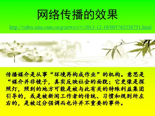 网络传播的效果