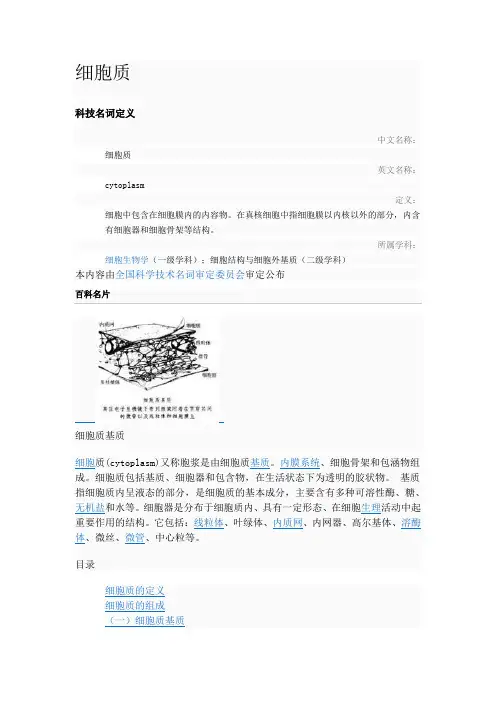 细胞质