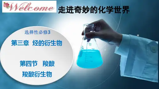 羧酸的结构与性质 高二化学(人教版2019选择性必修3)