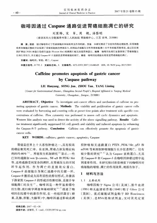 咖啡因通过Caspase通路促进胃癌细胞凋亡的研究