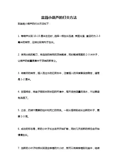 盆栽小葫芦的打尖方法