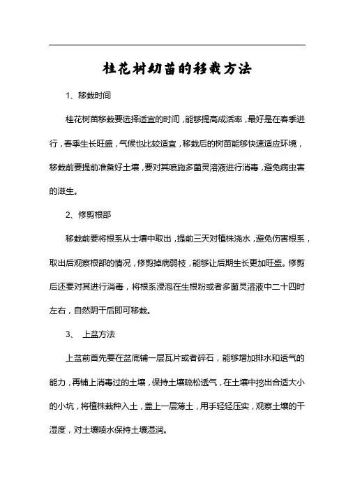 桂花树幼苗的移栽方法