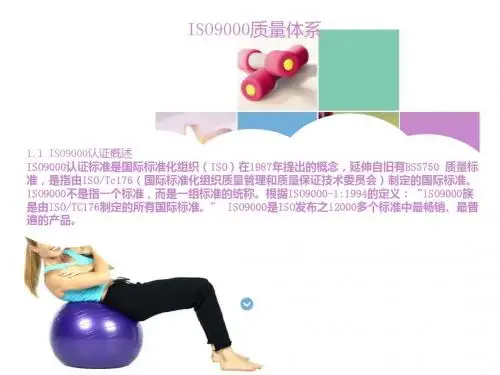 ISO9000质量体系