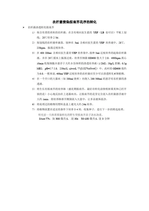 农杆菌侵染拟南芥花序的转化