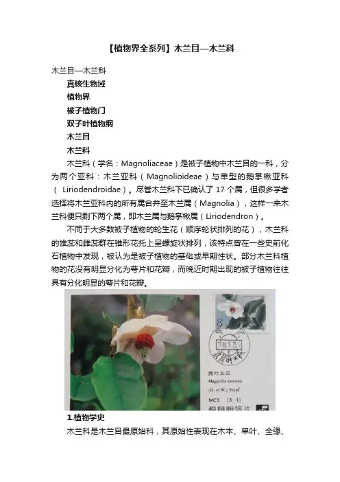 【植物界全系列】木兰目—木兰科