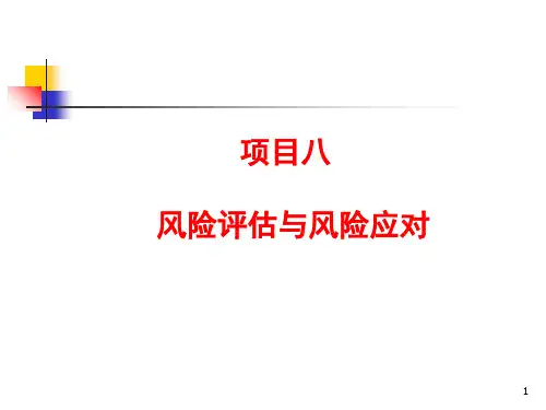 项目风险评估与风险应对(ppt 41页)