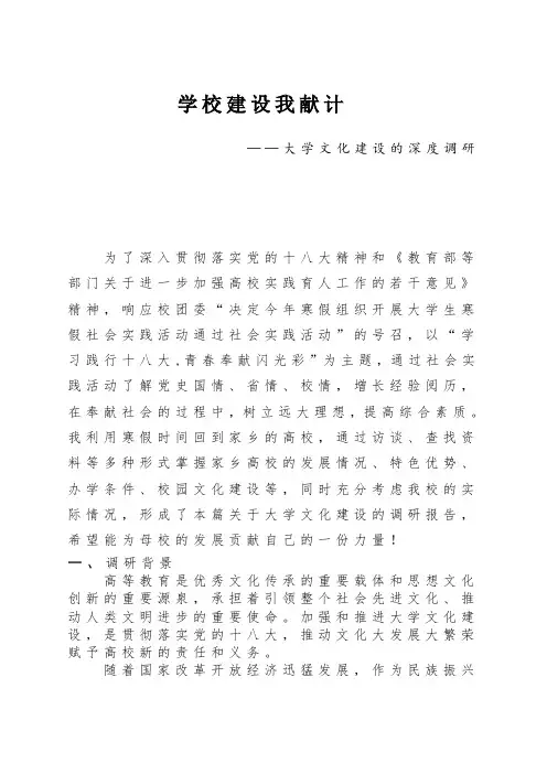 社会实践-校园文化建设