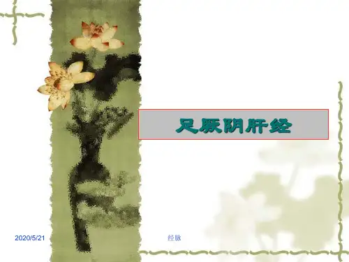 针灸学课件足三阴经 14.足厥阴肝经
