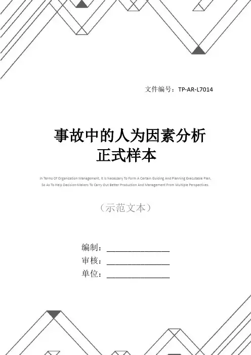 事故中的人为因素分析正式样本