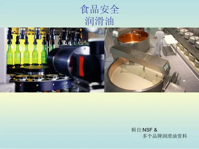 2013 食品级润滑油