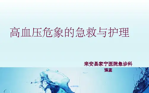 高血压危象的急救与护理)ppt课件