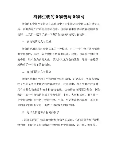 海洋生物的食物链与食物网
