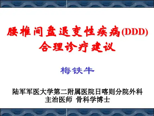 腰椎间盘退变性疾病PPT课件