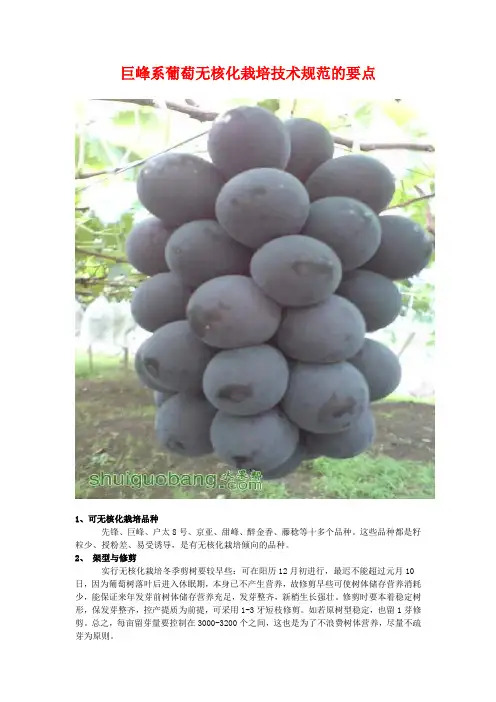 巨峰系葡萄无核化栽培技术规范的要点