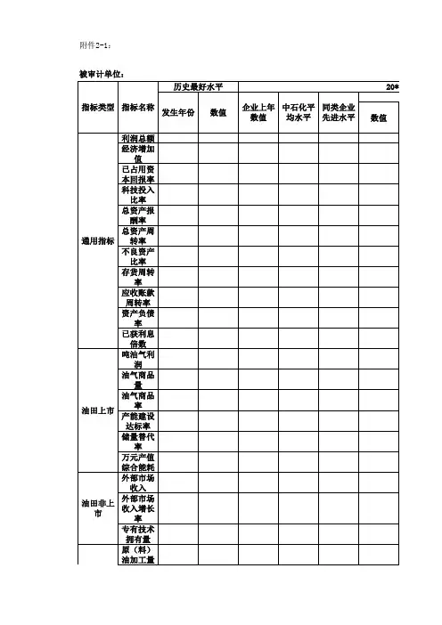 经济责任审计审前调查模板.xls