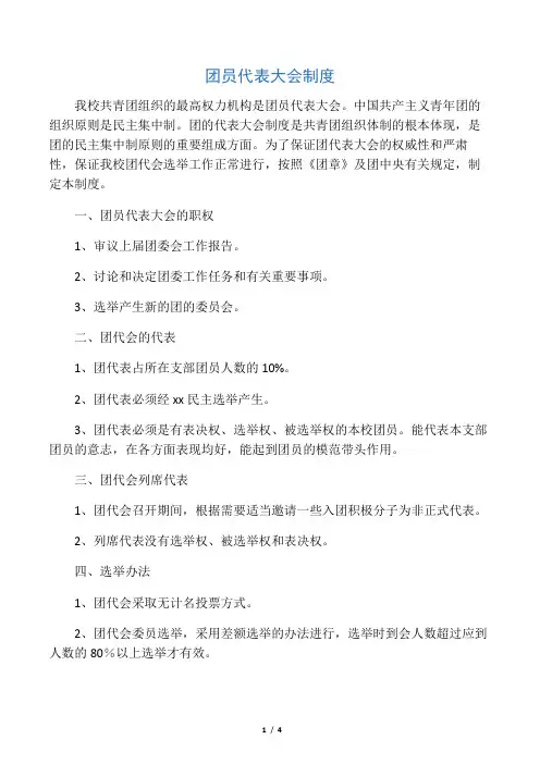 团员代表大会制度