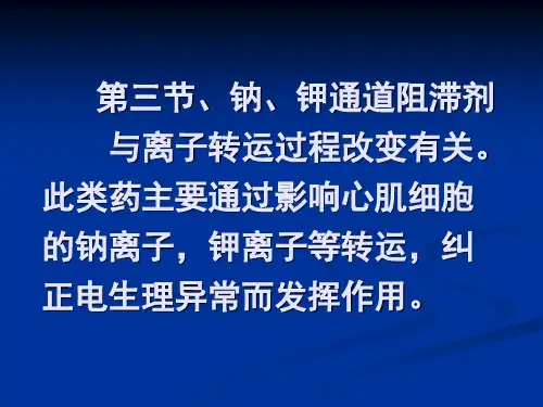 钾通道阻滞剂