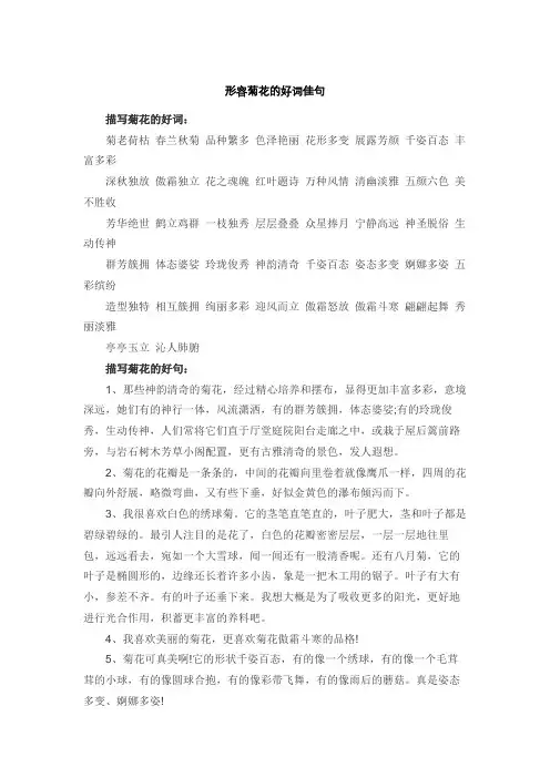 形容菊花的