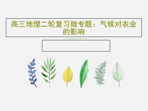 高三地理二轮复习微专题：气候对农业的影响23页PPT