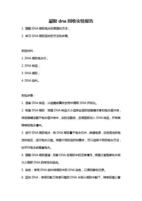 凝胶dna回收实验报告