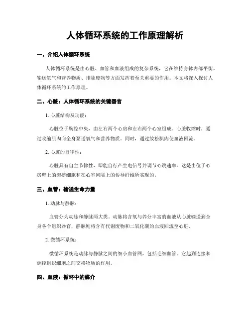 人体循环系统的工作原理解析