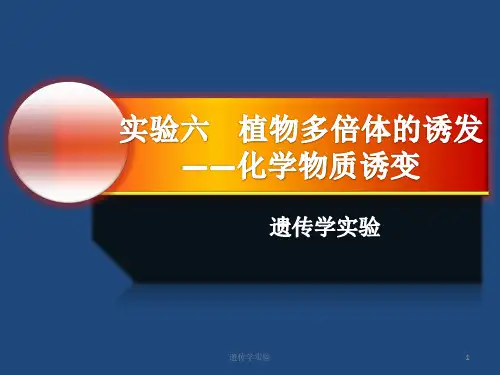 遗传学实验  植物多倍体的诱发