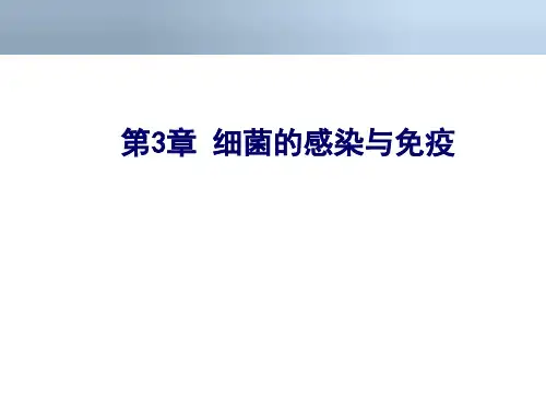 细菌感染与免疫优秀课件