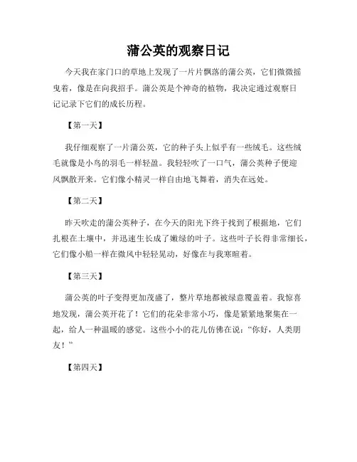 蒲公英的观察日记