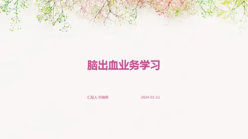 脑出血业务学习PPT