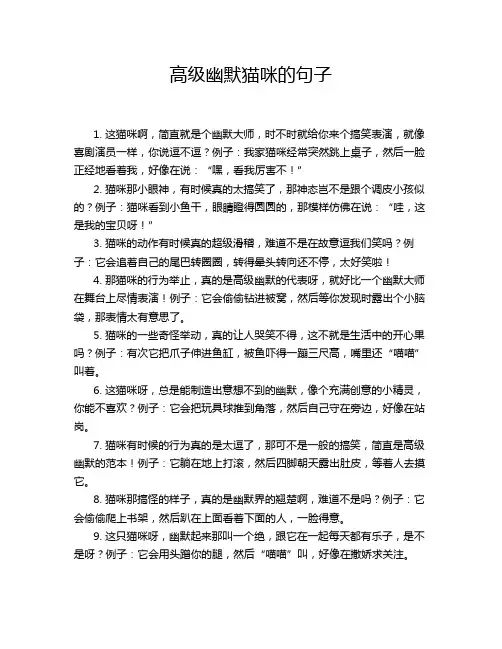 高级幽默猫咪的句子
