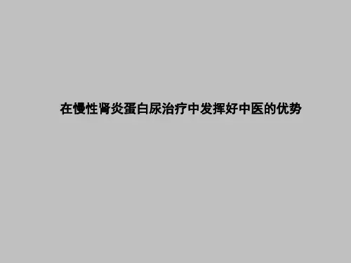 在慢性肾炎蛋白尿治疗中发挥好中医的优势