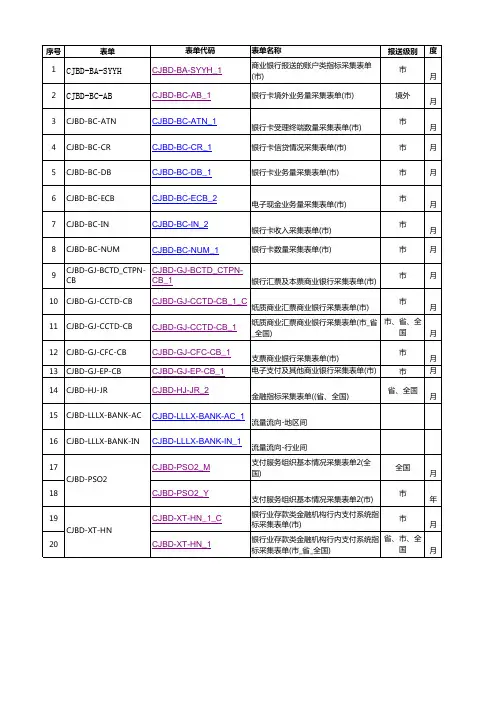 人行支付报送表样