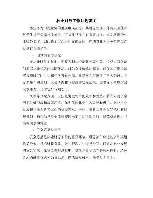 林业财务工作计划范文